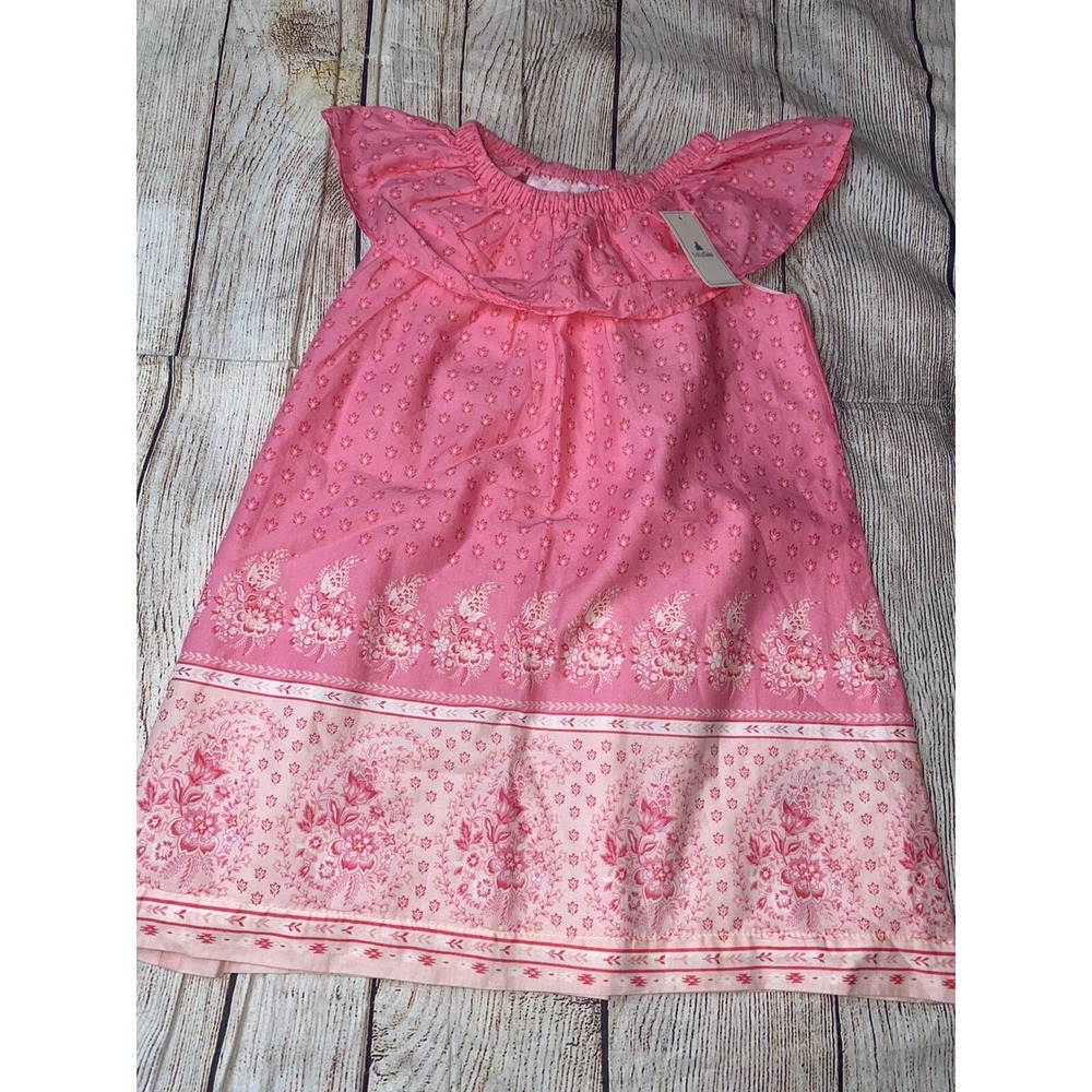 Baby Gap 3T Pink Dress NEW Paisley